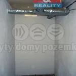 Rent 2 bedroom apartment of 42 m² in Jindřichův Hradec