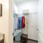 Rent 1 bedroom apartment in Lakeside Commons