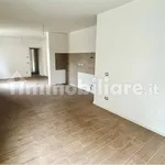 Affitto 2 camera appartamento di 70 m² in Piacenza