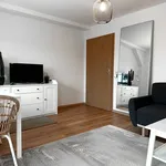 Rent 2 bedroom apartment of 55 m² in Chemnitz