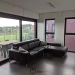 Rent 1 bedroom apartment in Hasselt