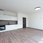 Rent 1 bedroom apartment of 35 m² in Děčín