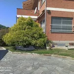 Rent 2 bedroom apartment of 70 m² in Caselle Torinese