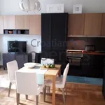 Rent 1 bedroom apartment of 55 m² in City of Zagreb