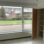 apartment in Mauritslaan, Hillegom, Netherlands
