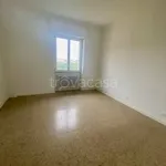 Rent 3 bedroom apartment of 100 m² in Pavia