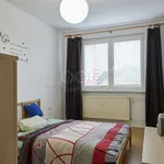 Rent 3 bedroom apartment in Česká Lípa