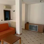 Rent 2 bedroom apartment of 77 m² in Novara