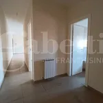 Rent 3 bedroom apartment of 100 m² in Siracusa