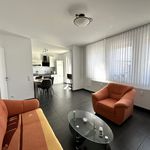 Rent 2 bedroom apartment of 65 m² in Gladbeck