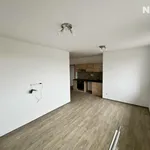 Rent 2 bedroom apartment of 40 m² in Hroznětín