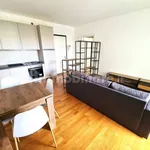 Rent 2 bedroom apartment of 62 m² in Venice