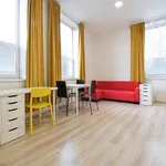 Rent 1 bedroom apartment in Brno