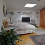 Rent 3 bedroom apartment of 99 m² in Prague