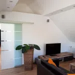 Rent 1 bedroom apartment of 58 m² in Solingen