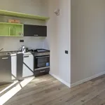 Rent 3 bedroom apartment of 100 m² in Turin