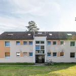 Rent 1 bedroom apartment of 41 m² in Celle