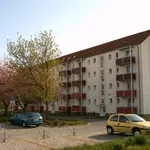 Rent 3 bedroom apartment of 65 m² in Tribsees