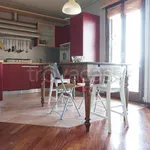 Rent 4 bedroom apartment of 100 m² in Colorno