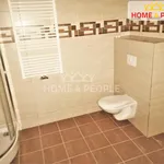 Rent 1 bedroom apartment in Sokolov