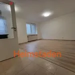 Rent 1 bedroom apartment of 29 m² in Havířov