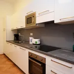 Rent 1 bedroom apartment in Prague