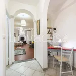 Rent 2 bedroom apartment of 50 m² in Firenze