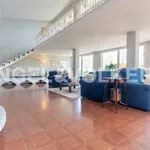 Rent 5 bedroom house of 402 m² in Sant'Elpidio a Mare