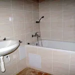 Rent 1 bedroom apartment of 45 m² in Brno