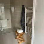 Appartement de 40 m² avec 1 chambre(s) en location à Le Mans