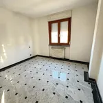 Affitto 3 camera appartamento di 76 m² in Carrara