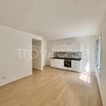 Rent 3 bedroom apartment of 80 m² in Padova