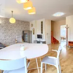 Rent 4 bedroom apartment of 113 m² in Toruń