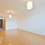 Rent 3 bedroom apartment in Brno