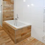 Rent 4 bedroom apartment of 142 m² in Prague