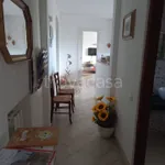 Rent 2 bedroom apartment of 82 m² in Siena