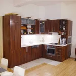 Rent 3 bedroom apartment of 87 m² in Prague