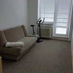 Rent 1 bedroom house of 181 m² in Capital City of Prague