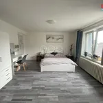 Pronajměte si 3 ložnic/e byt o rozloze 75 m² v Beroun