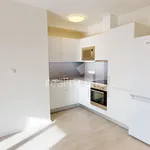 Rent 2 bedroom apartment in Brno