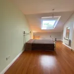 Rent 2 bedroom apartment in  Dublin 14