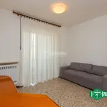 Rent 3 bedroom apartment of 100 m² in Busto Arsizio