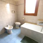 Rent 3 bedroom house of 18 m² in Padova