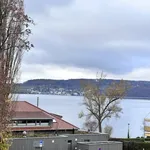 Rent 3 bedroom apartment of 120 m² in Überlingen