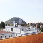 Rent 3 bedroom apartment of 94 m² in Graz