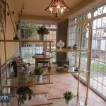 Rent 8 bedroom apartment in Madrid