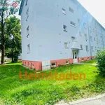 Rent 3 bedroom apartment of 48 m² in Ostrava