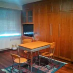 Alquilo 1 dormitorio apartamento de 50 m² en Ourense