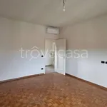 Rent 5 bedroom apartment of 162 m² in Parma