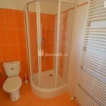 Rent 1 bedroom house in Chýnice